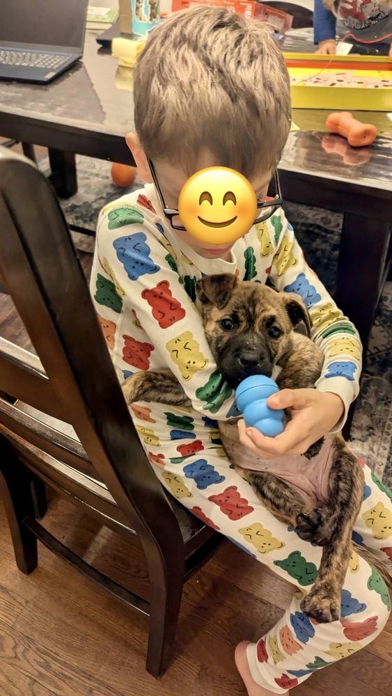 Hail (Freeze Litter)