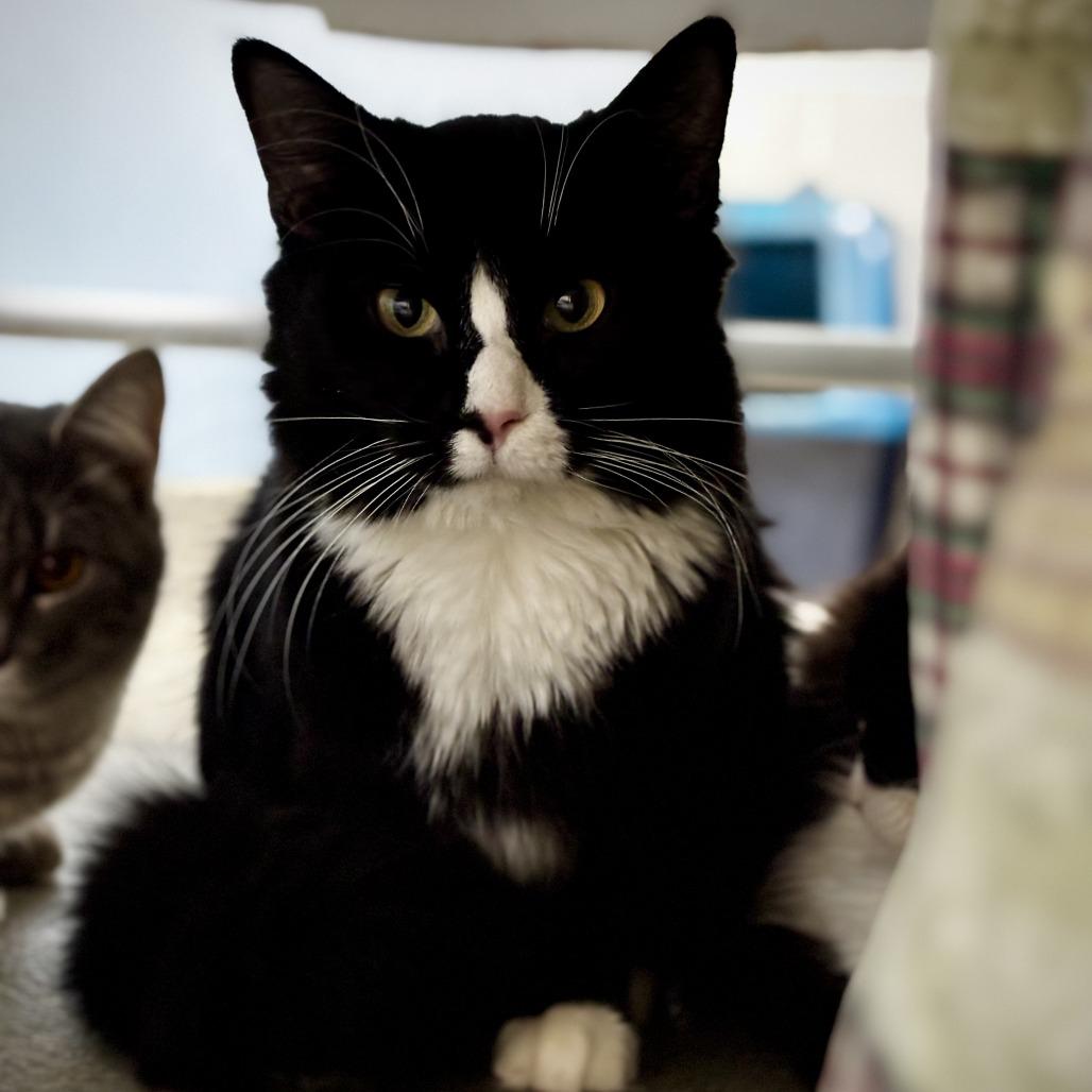 Radar — thumbnail 2