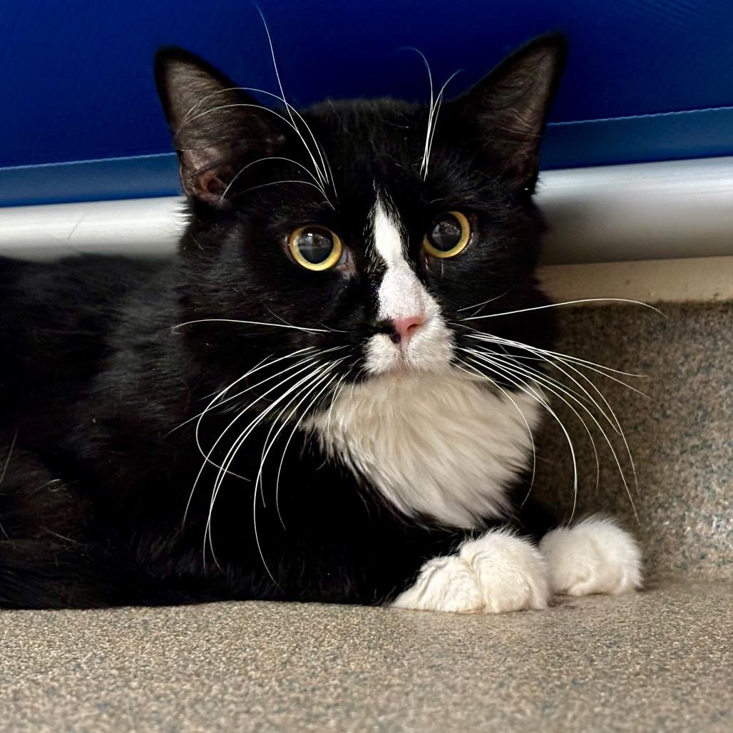 Radar — thumbnail 4