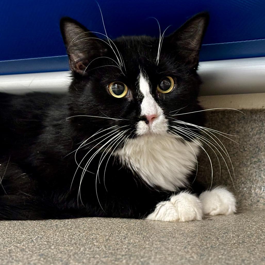 Radar — thumbnail 5