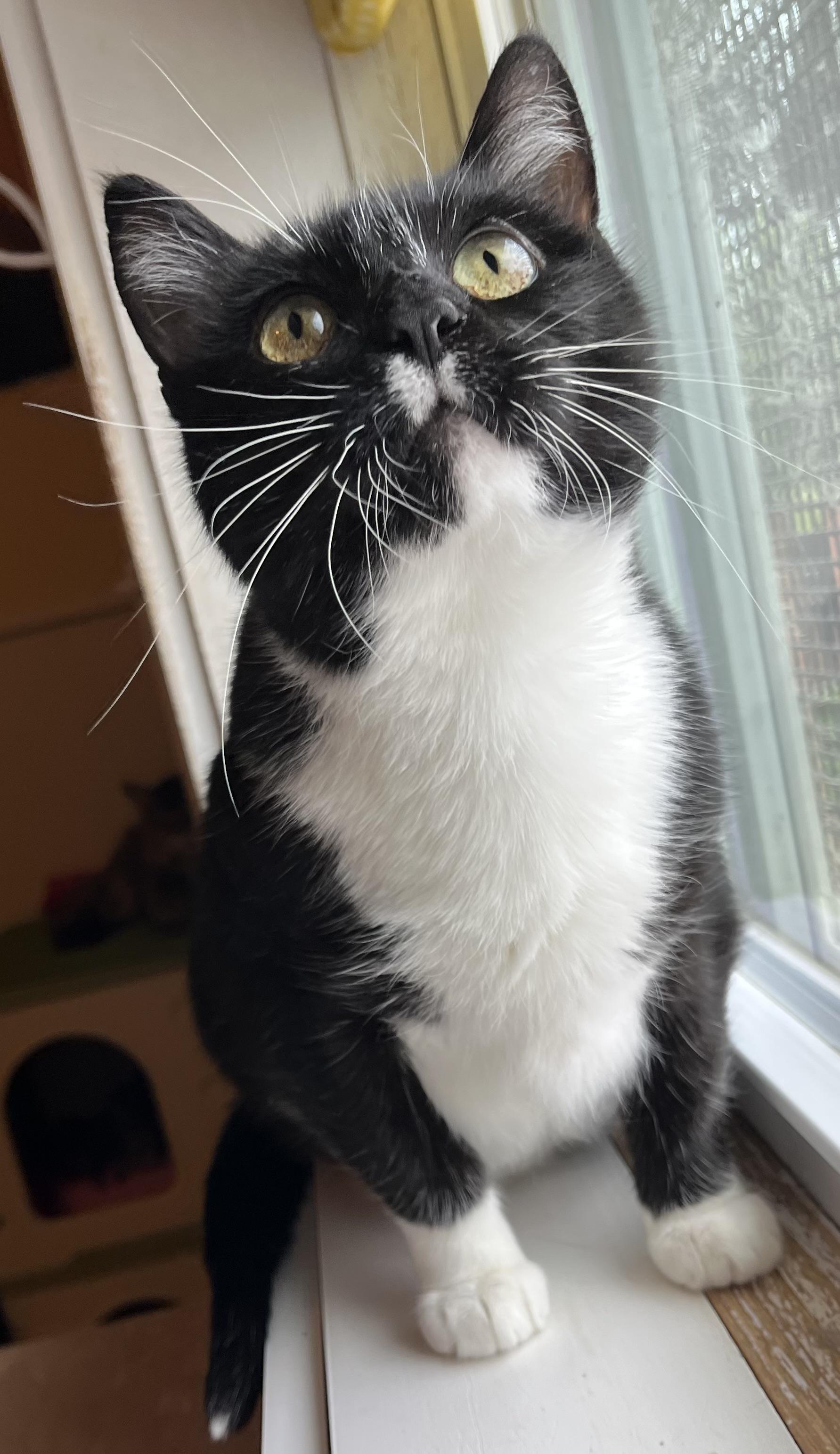 Elizabeth