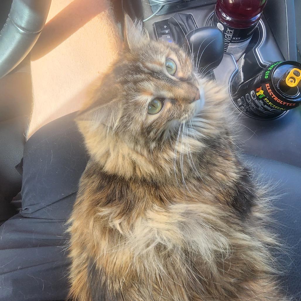 Sedona — thumbnail 2