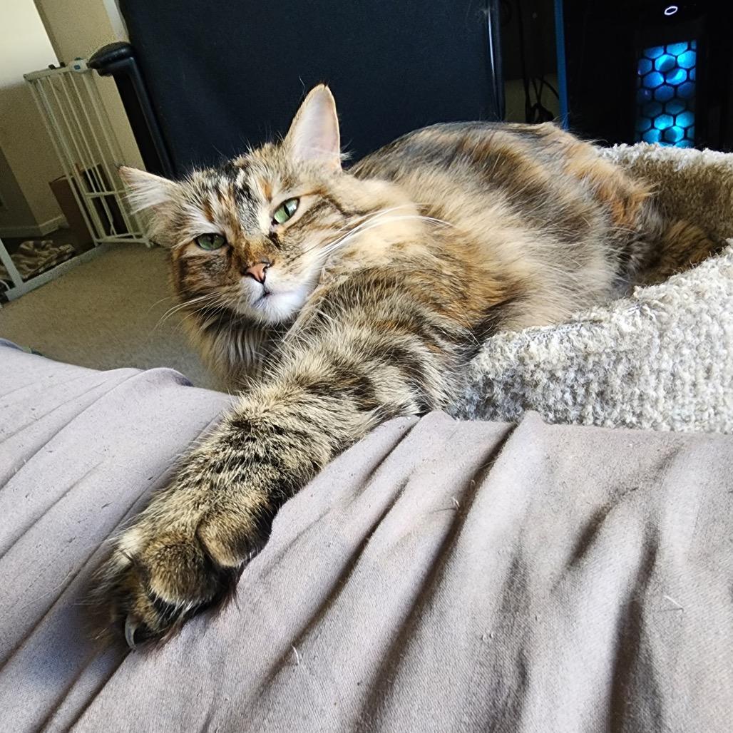 Sedona — thumbnail 4