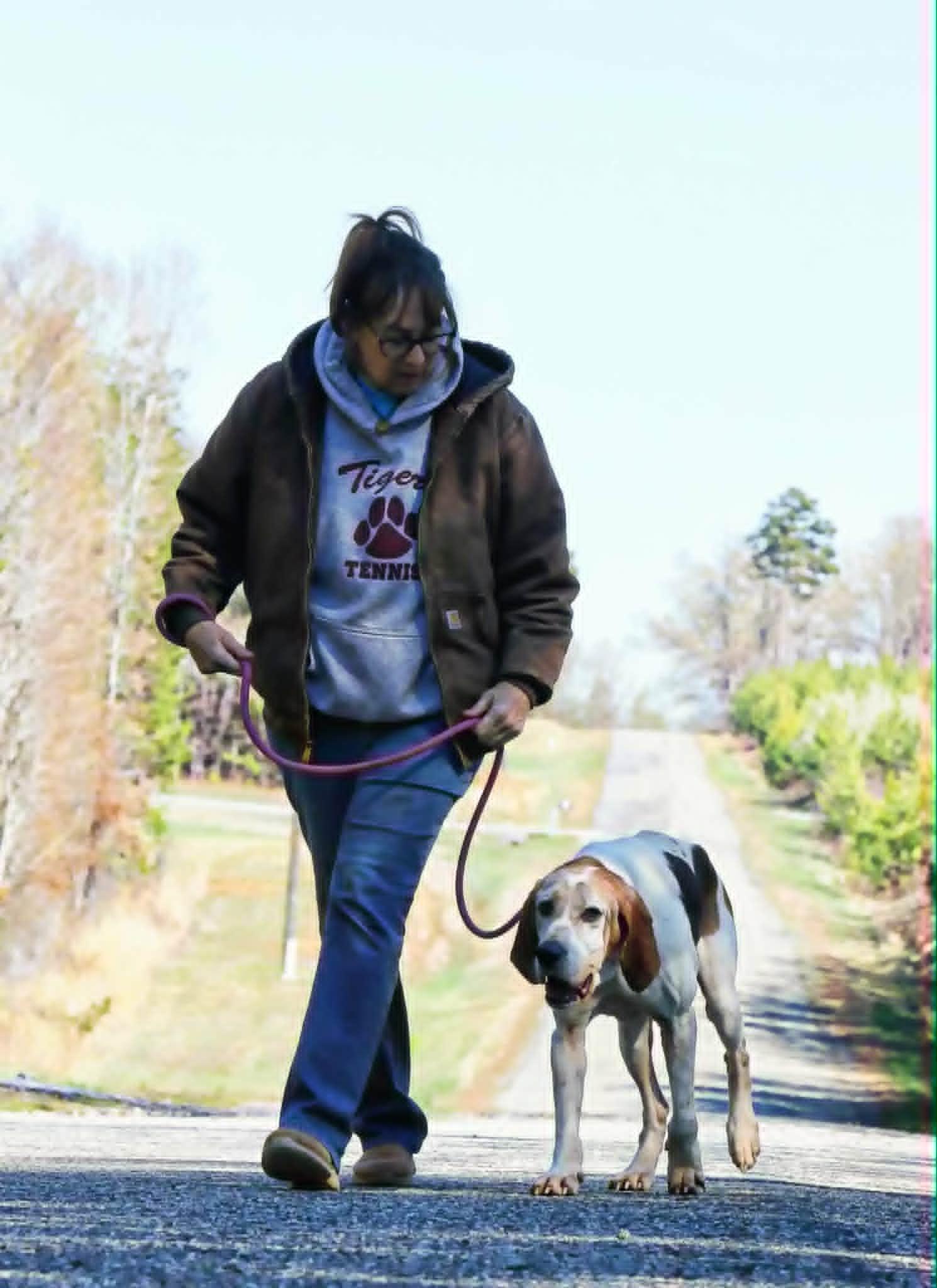 Clyde, a ADOPTABLE mixed breed in Stuarts Draft, VA image 3/6