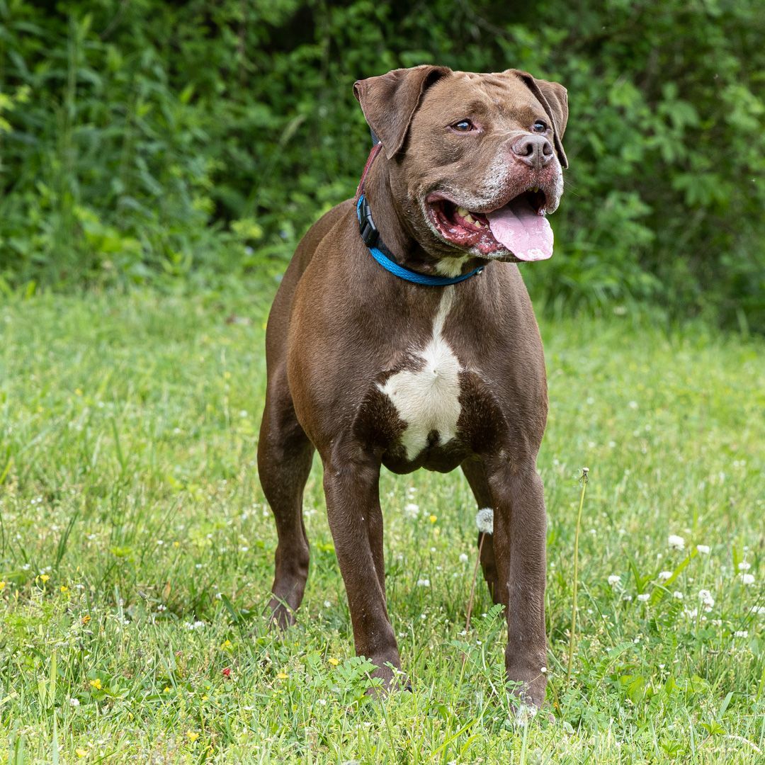 Rex photo 3