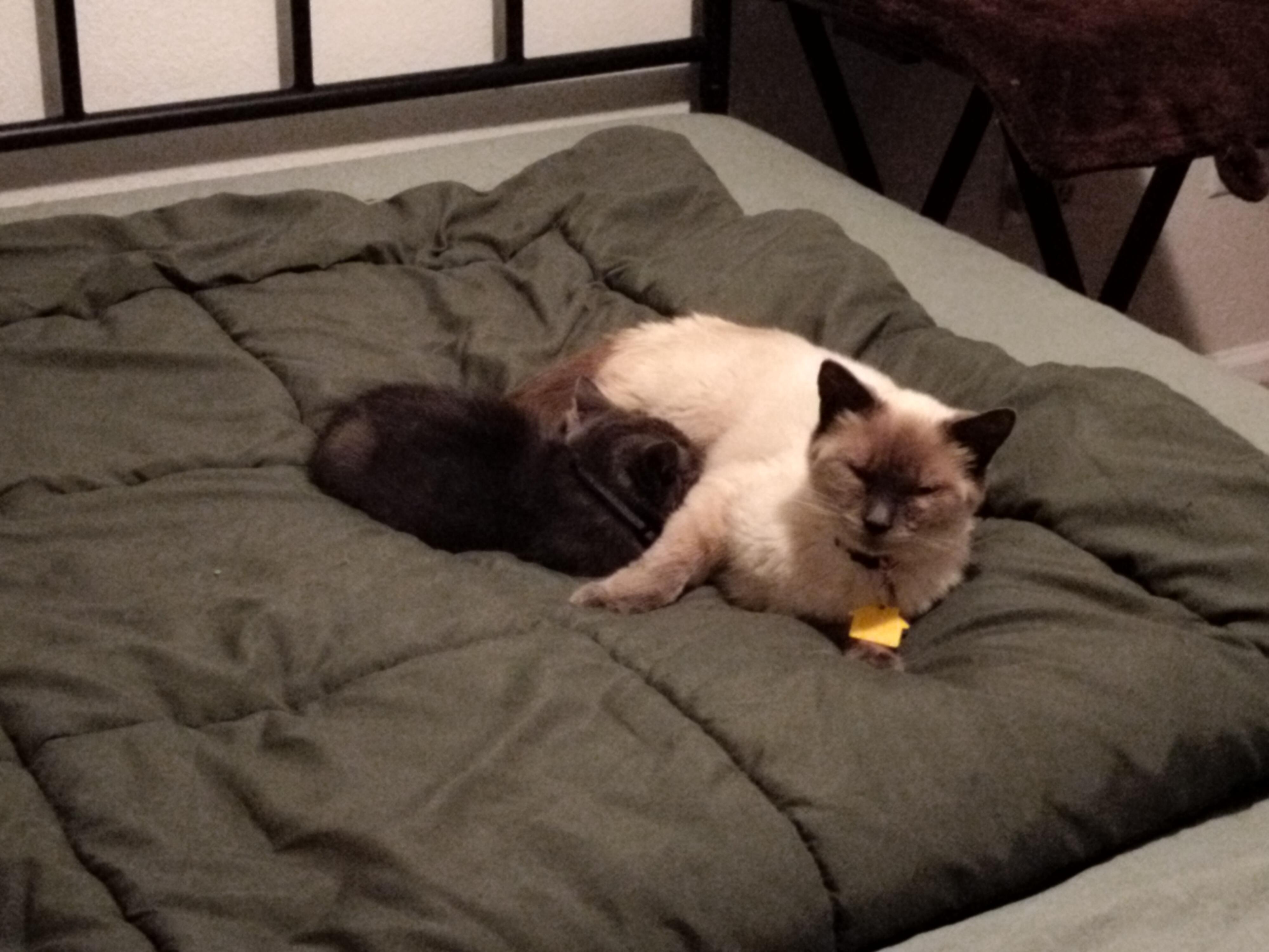 Sue Kim- loves to play