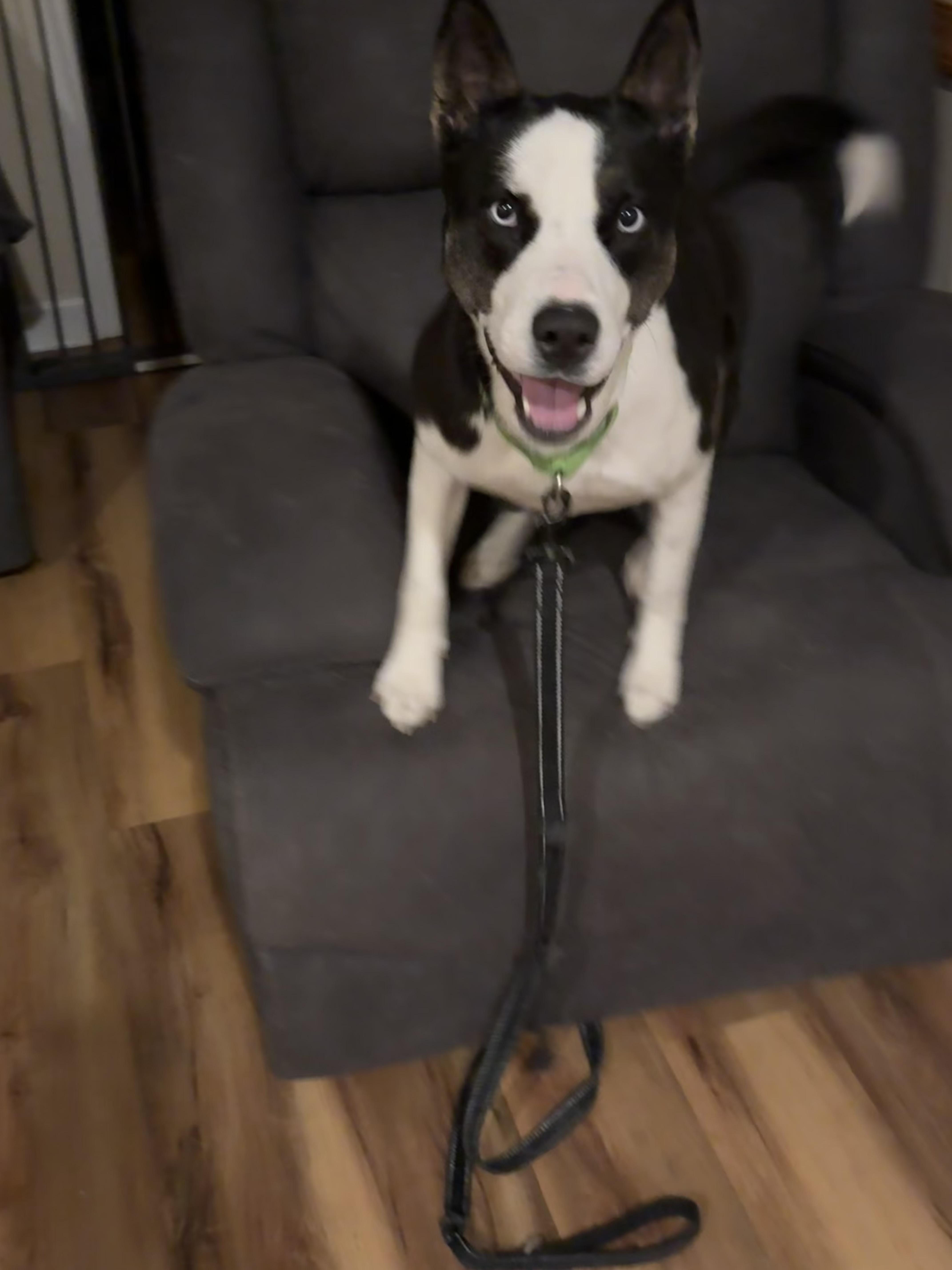 Sabril Aka Bri thumbnail 2