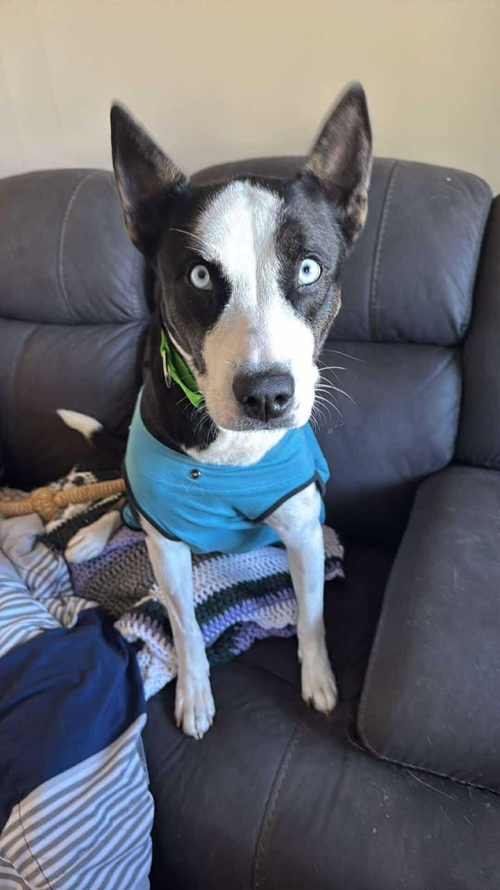 Sabril Aka Bri thumbnail 5