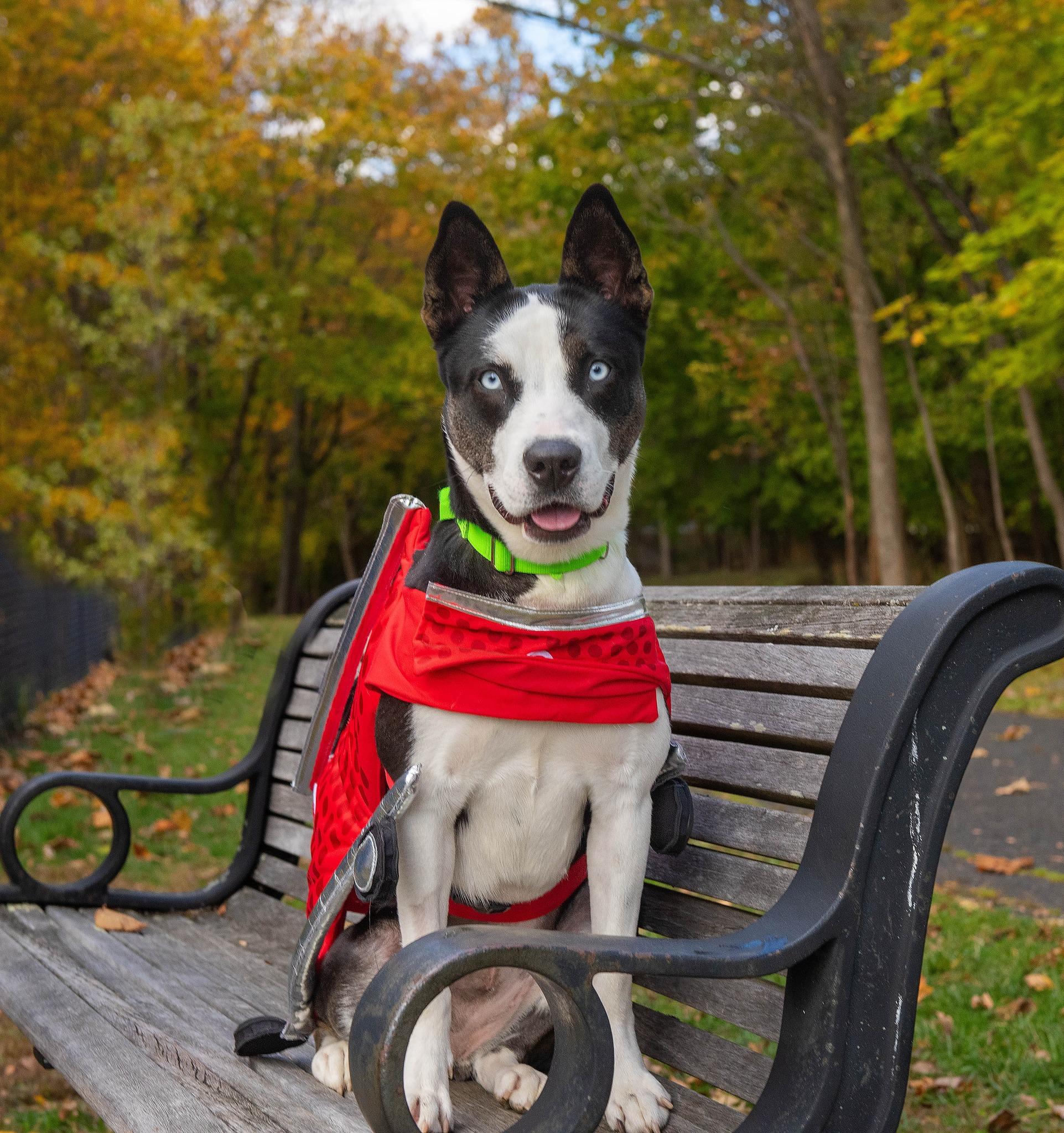 Sabril Aka Bri thumbnail 6