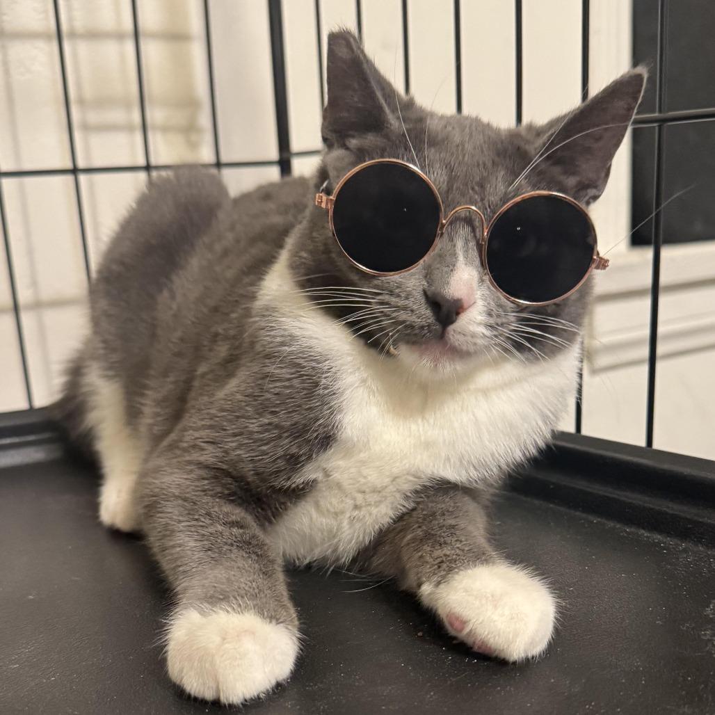 Gillian — thumbnail 2