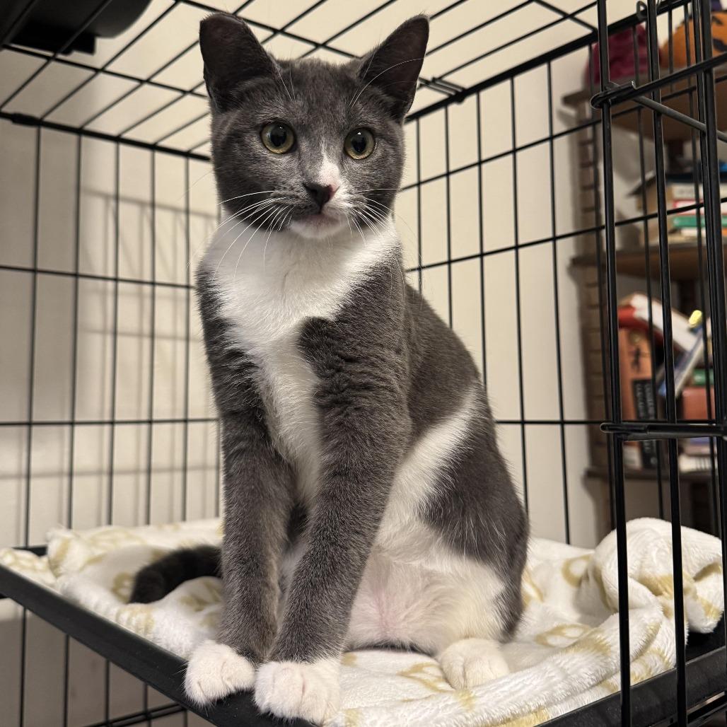 Gillian — thumbnail 3