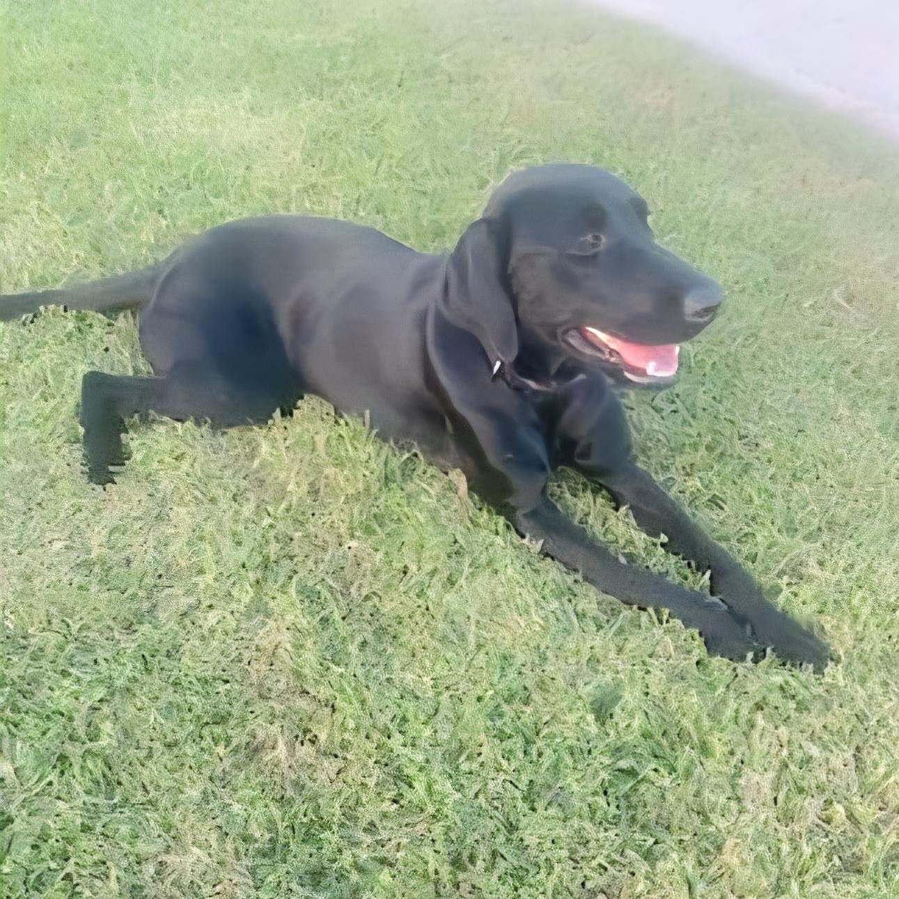 Lucas Gabriel "i Just thumbnail 5