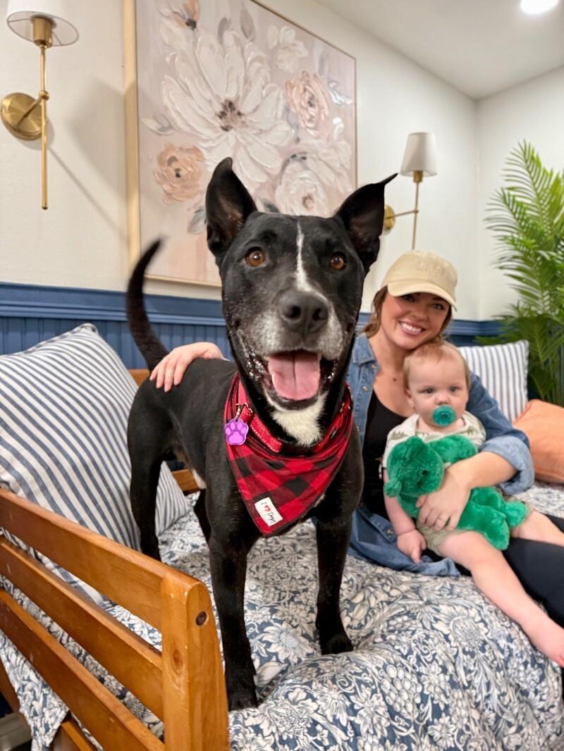 Otto Your Easy Going Friend