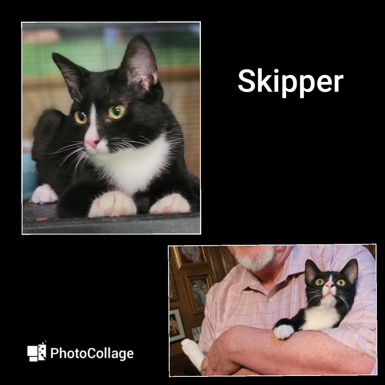 Skipper