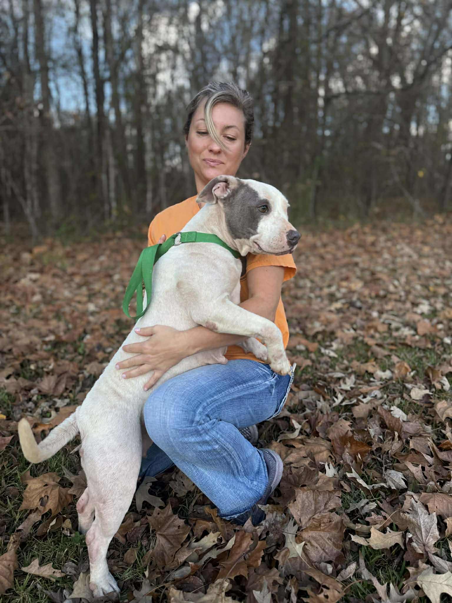 Kaylee, a Adoptable mixed breed in Westport, MA image 2/6