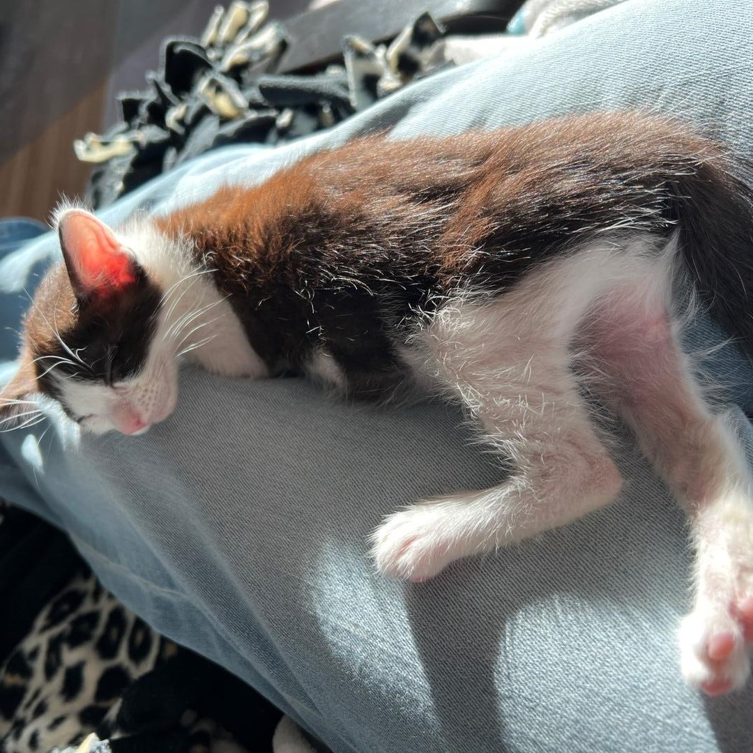 Gianna Avery thumbnail 4