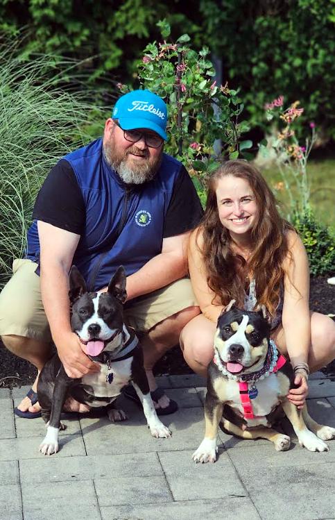 Enlarge Emmy Lou, a Adopted Pit Bull Terrier in Framingham, MA image 2/3