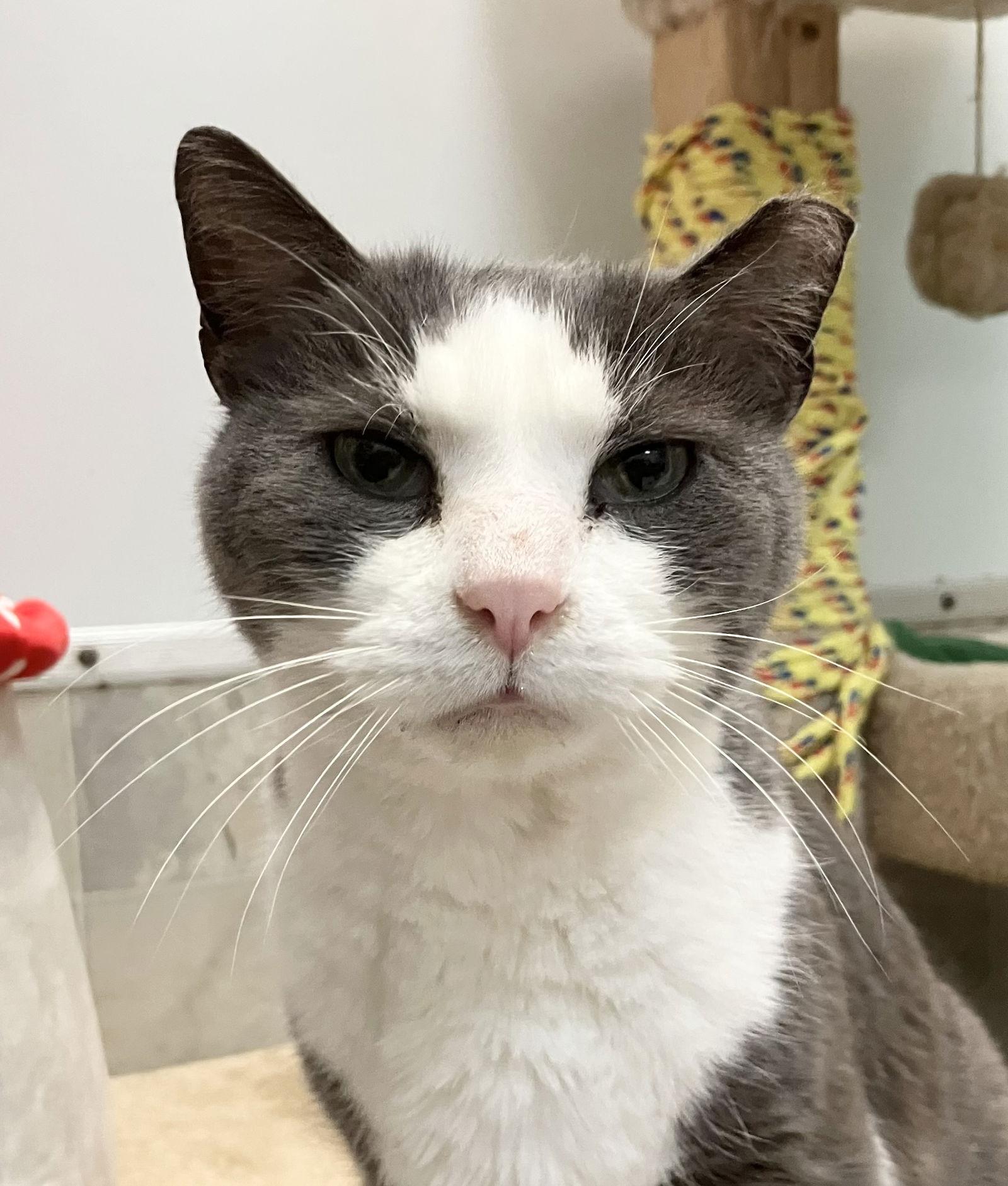 Couscous — thumbnail 3