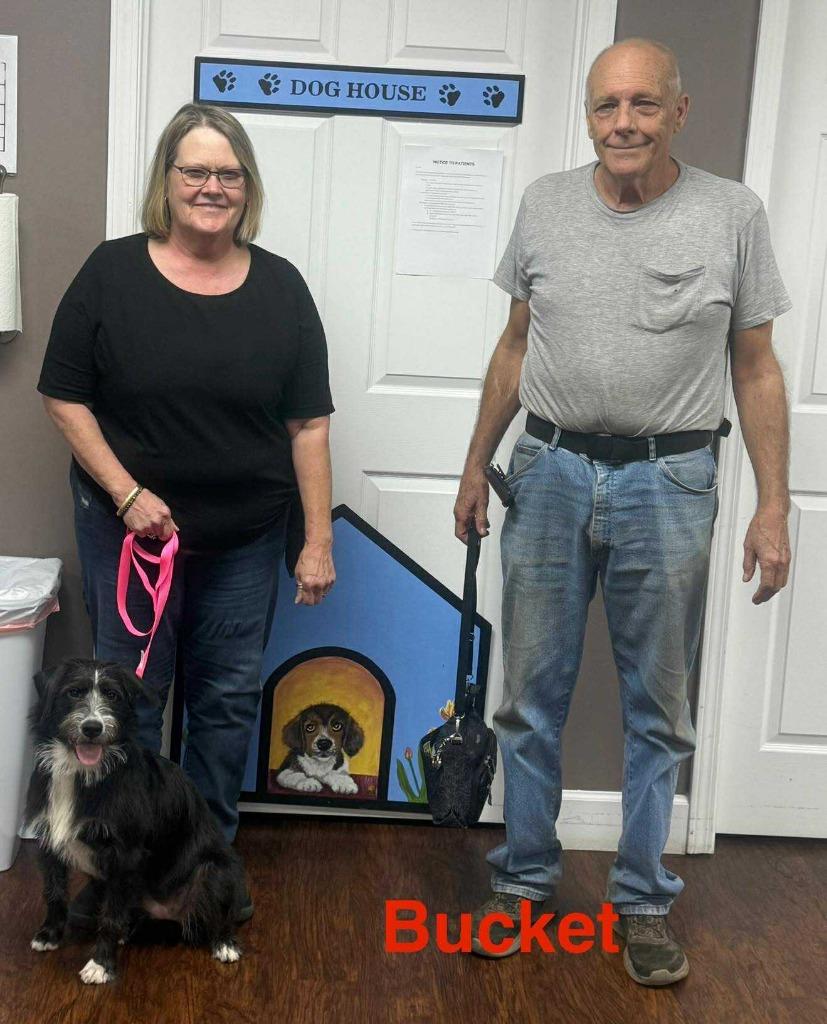 Enlarge Bucket, a Adopted mixed breed in Crossville, TN image 2/6