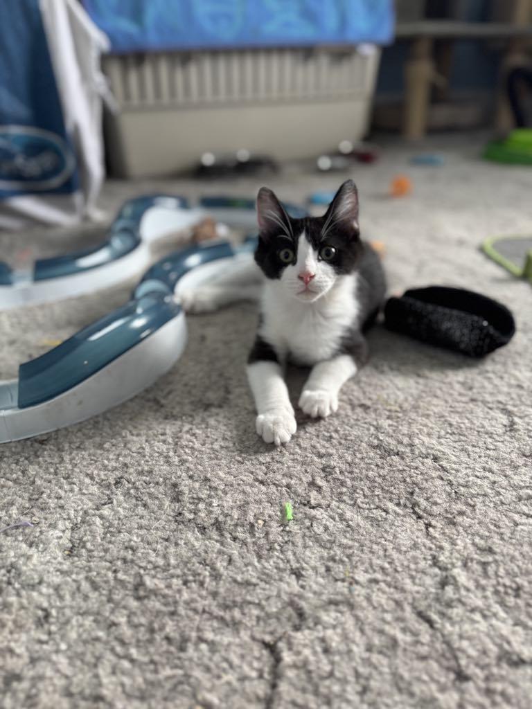 Oscar