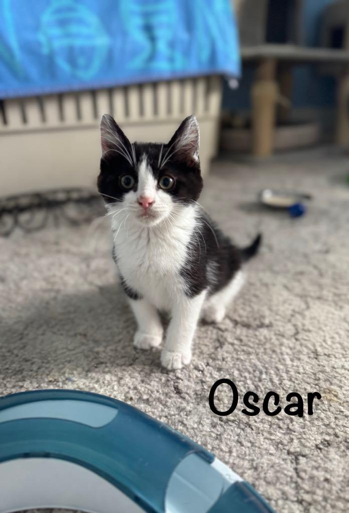 Oscar