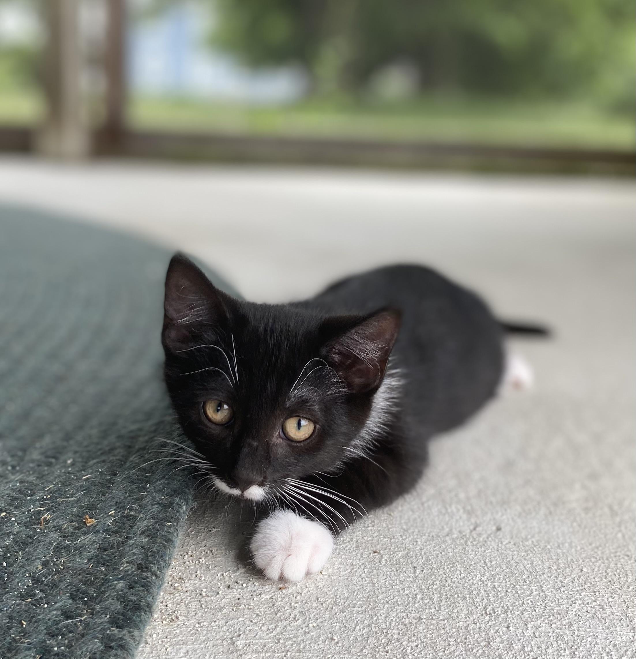 Blake, Baby Male unknown