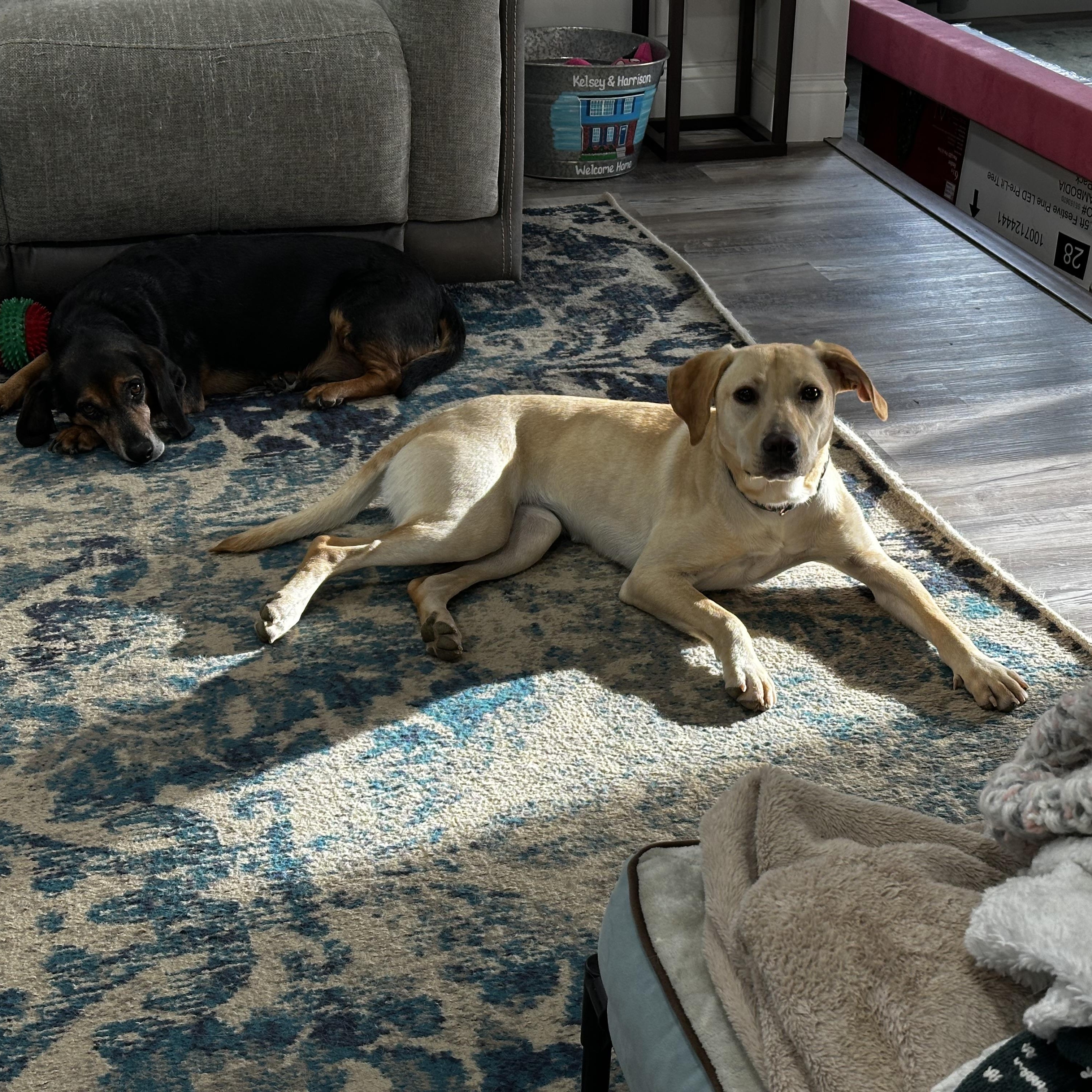 Lexie Lou thumbnail 3