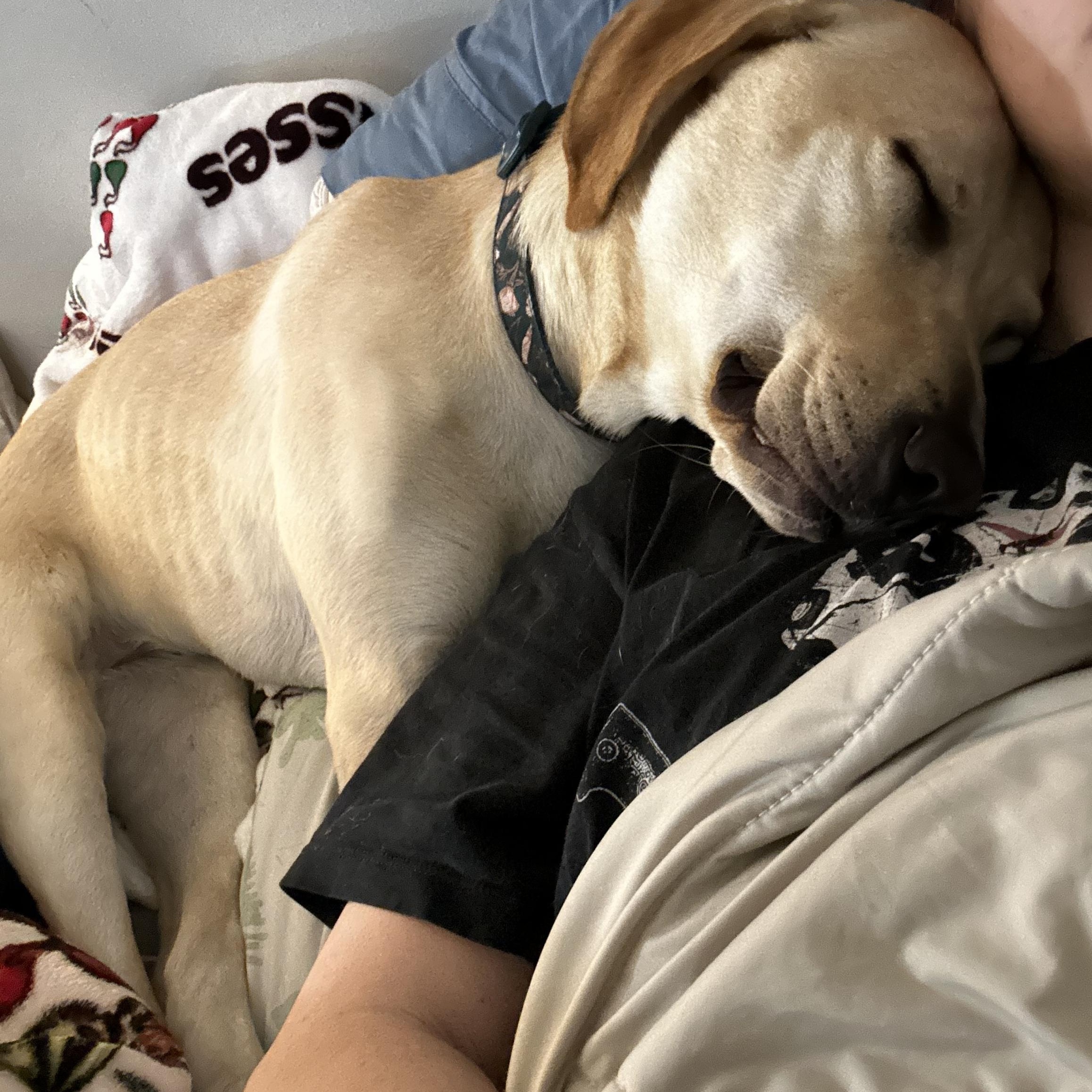 Lexie Lou thumbnail 4