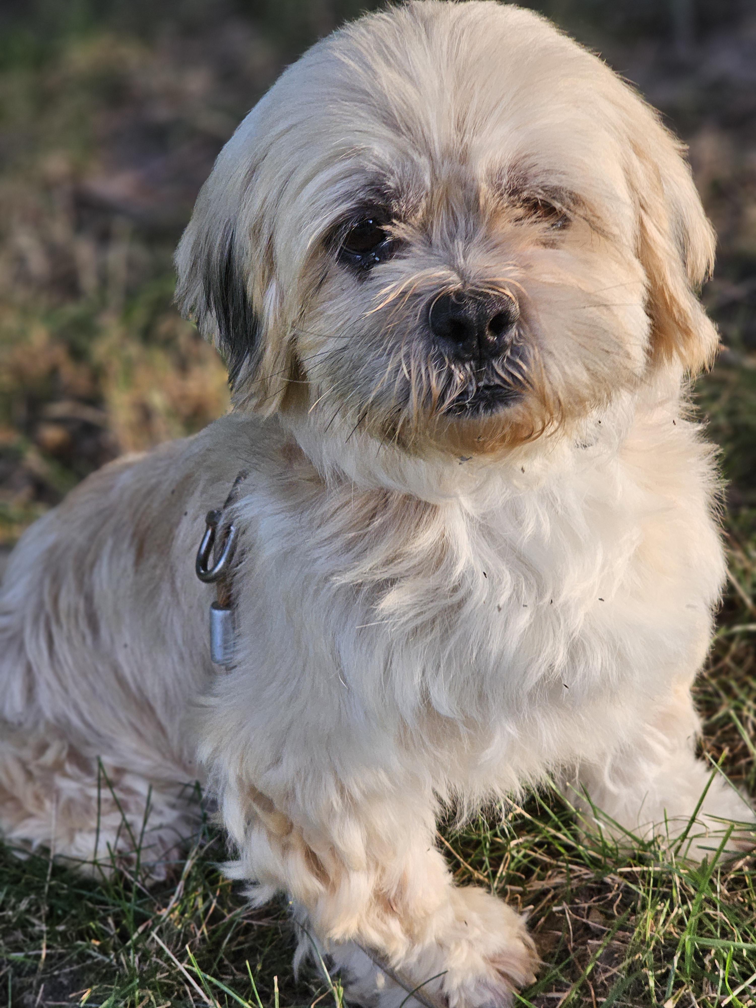 Jesse Springfield thumbnail 2