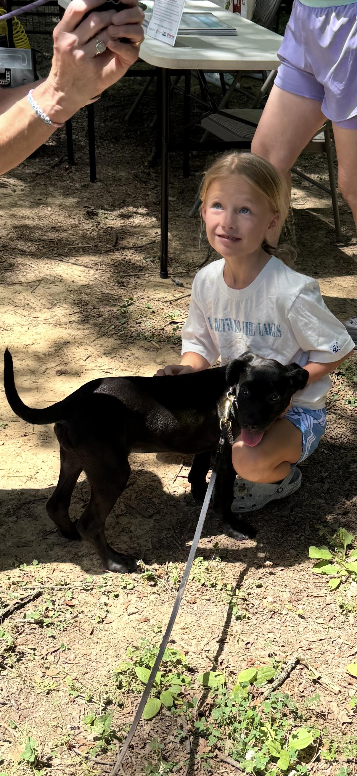 Junie, a ADOPTABLE mixed breed in Murray, KY image 5/6