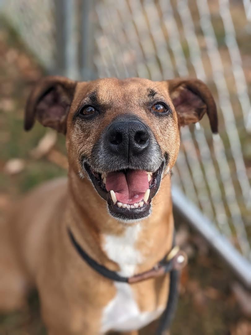 Aurora (ID 48861/3542)