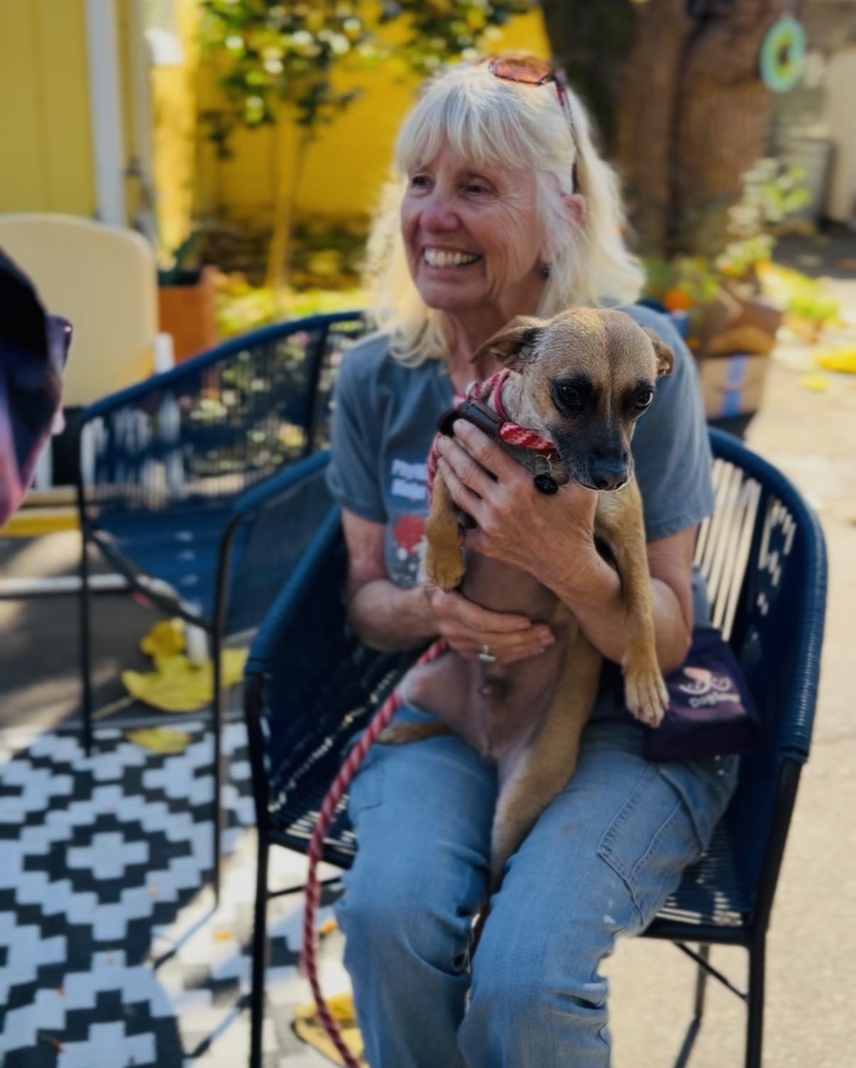 Enlarge Raymond, a ADOPTABLE mixed breed in Santa Rosa, CA image 5/6