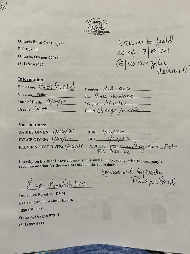 Garfield — thumbnail 4