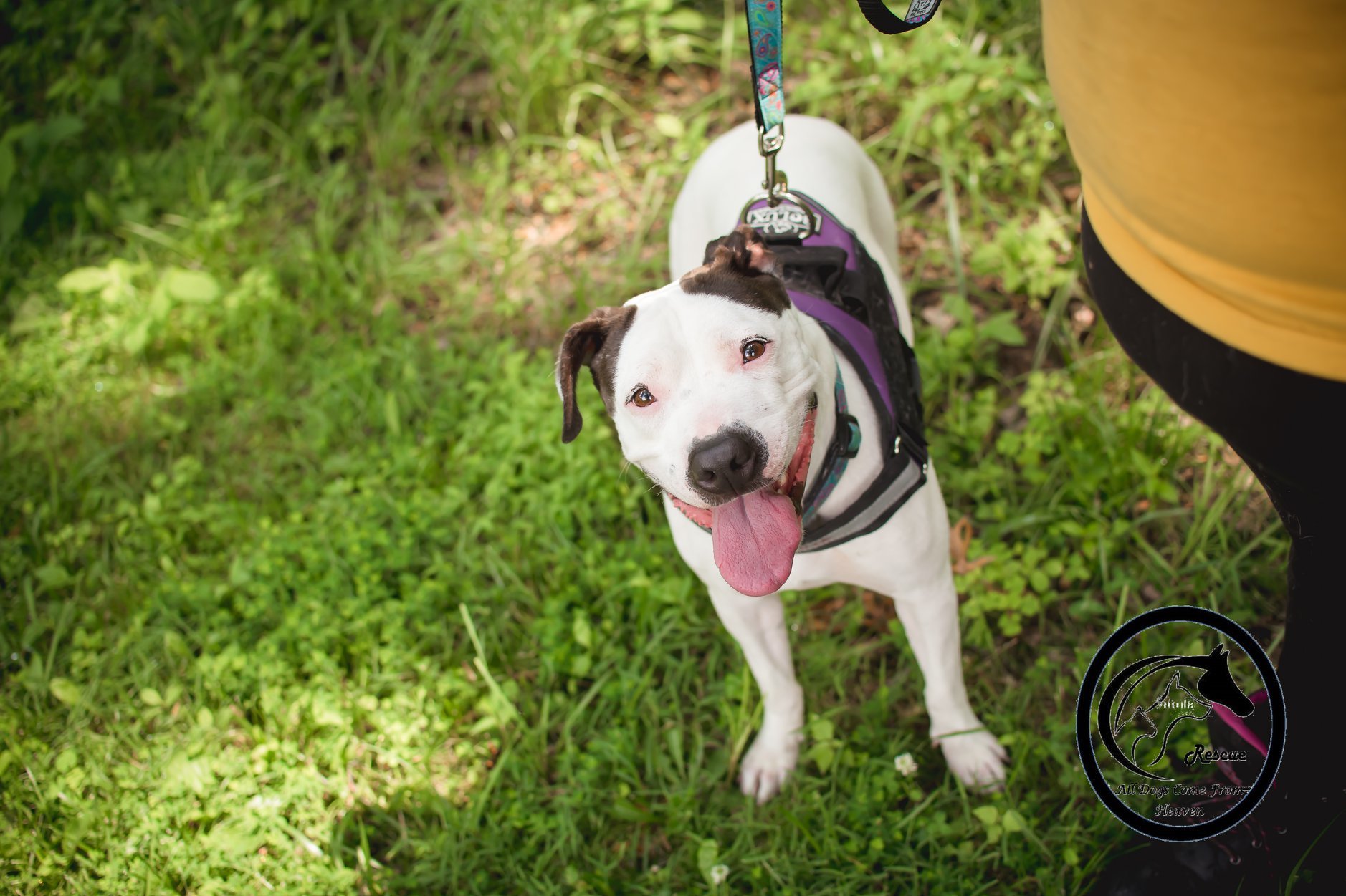 Winnie photo 5