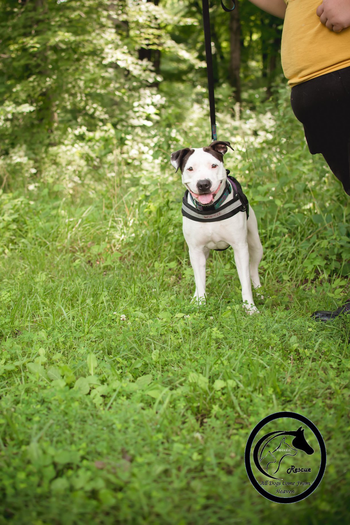 Winnie photo 4