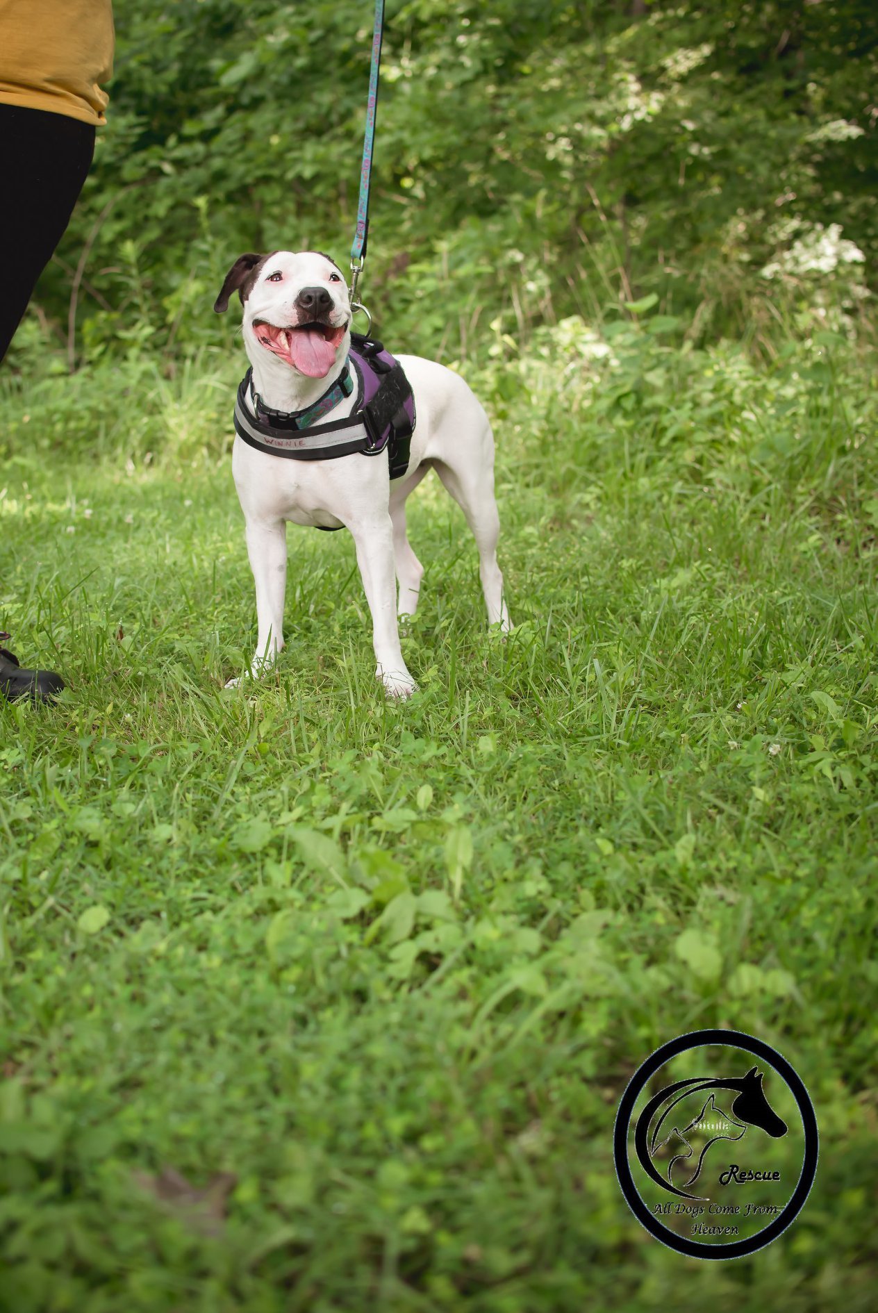 Winnie photo 2
