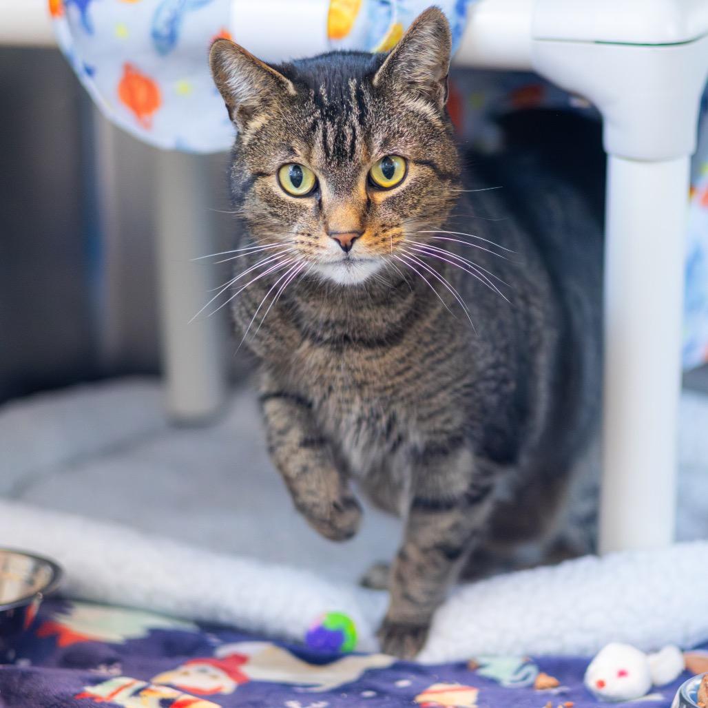 Lady Delilah — thumbnail 2