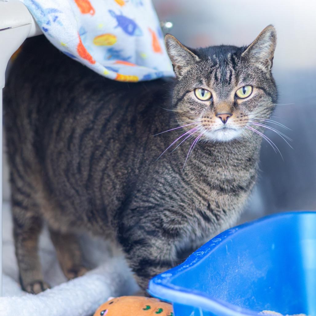 Lady Delilah — thumbnail 3