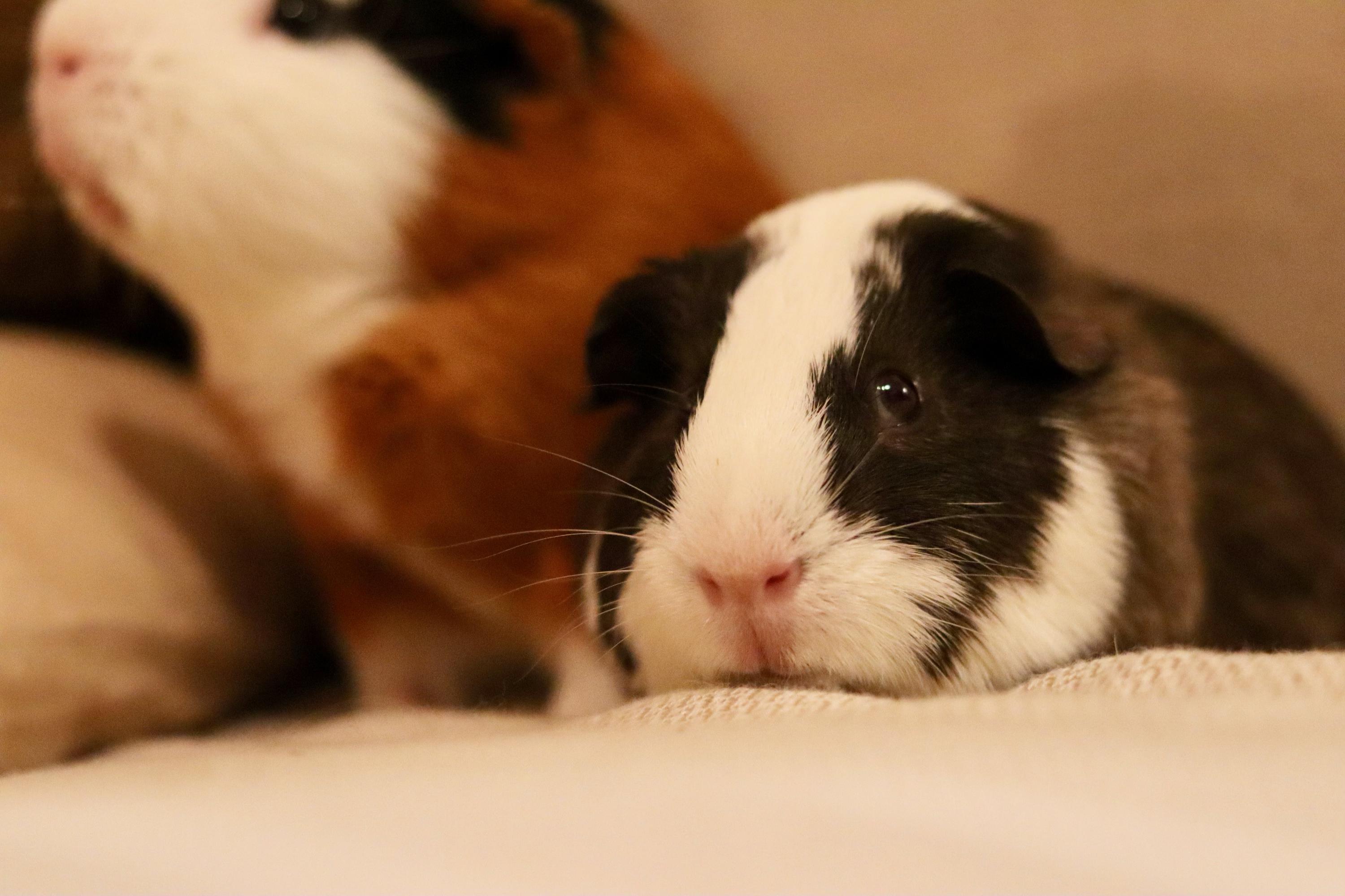 Motaz & Zay photo 2