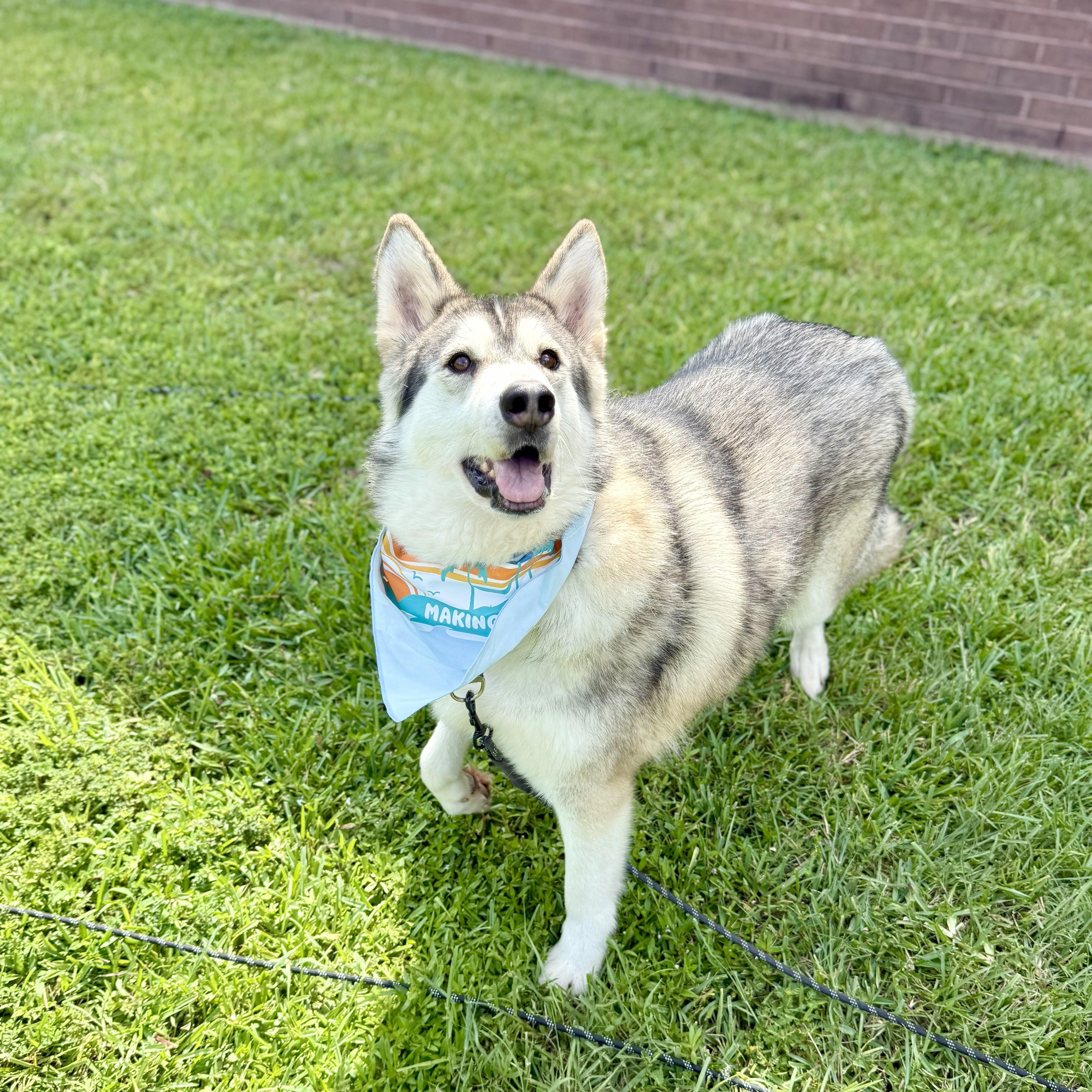 Crystel — thumbnail 2