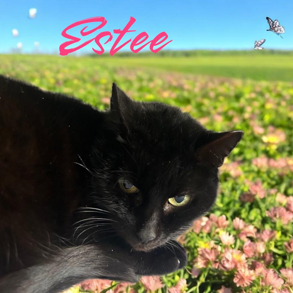 Estee photo 2