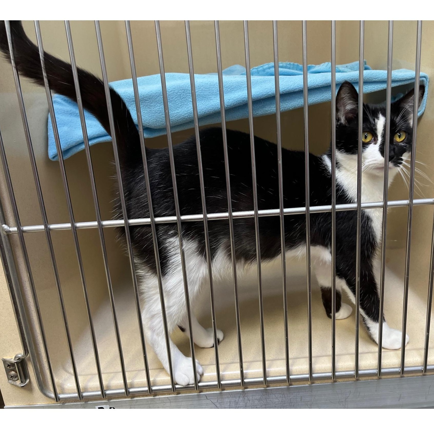 Kayla Jay thumbnail 2