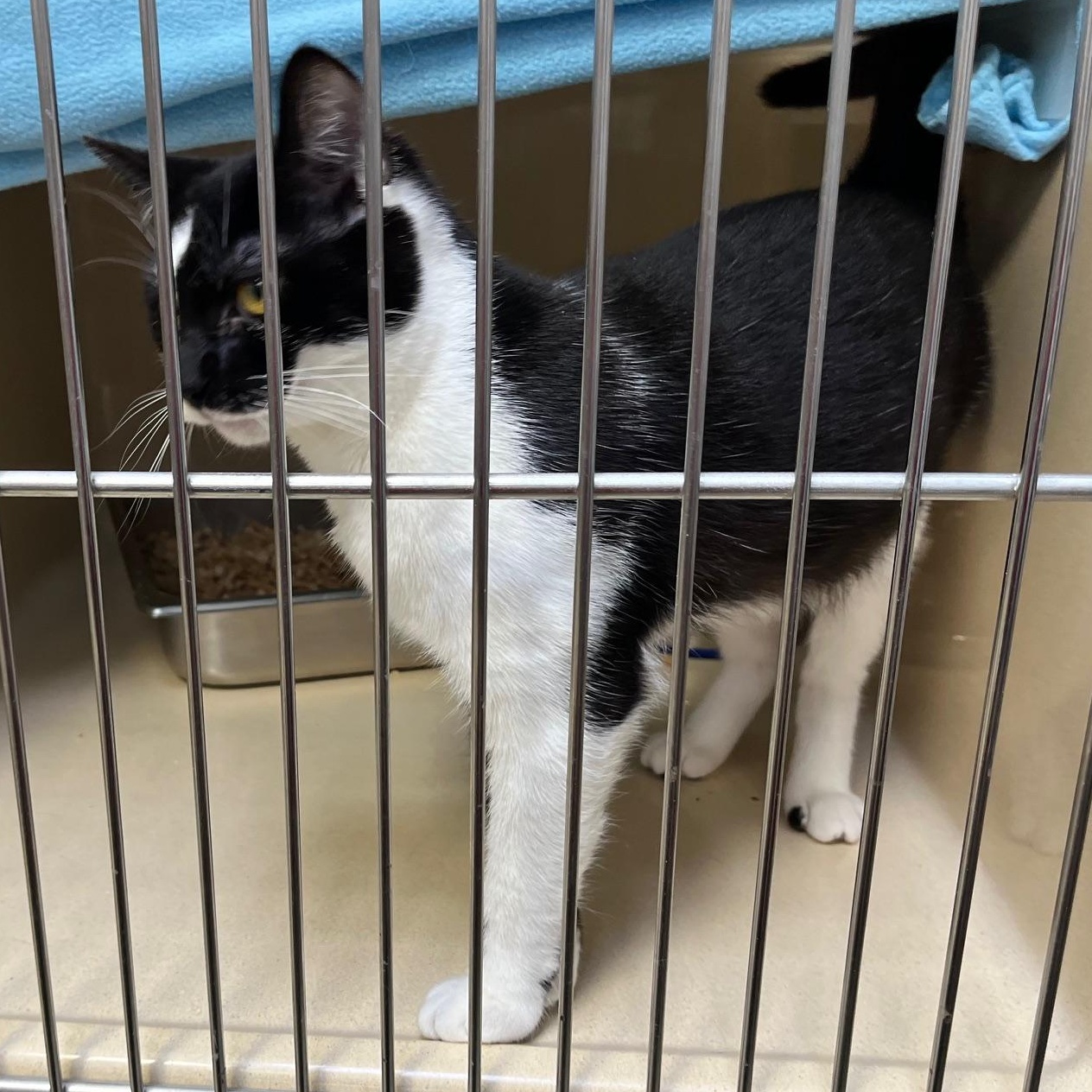 Kayla Jay thumbnail 4