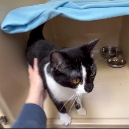 Kayla Jay thumbnail 5