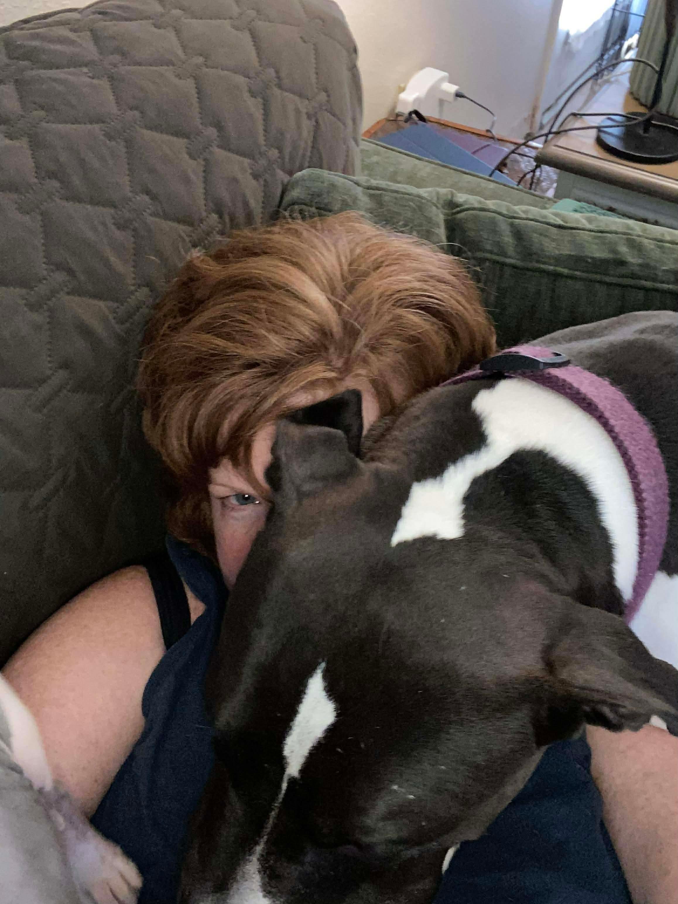 Enlarge Brody, a Adoptable Pit Bull Terrier in Arlee, MT image 1/4