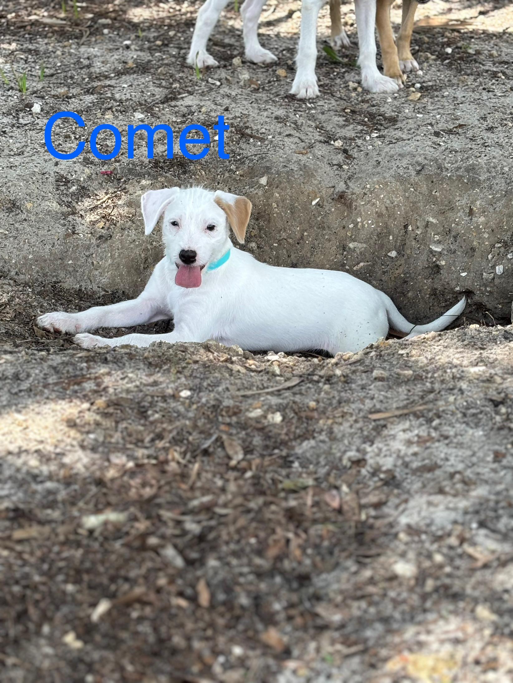 Comet photo 4