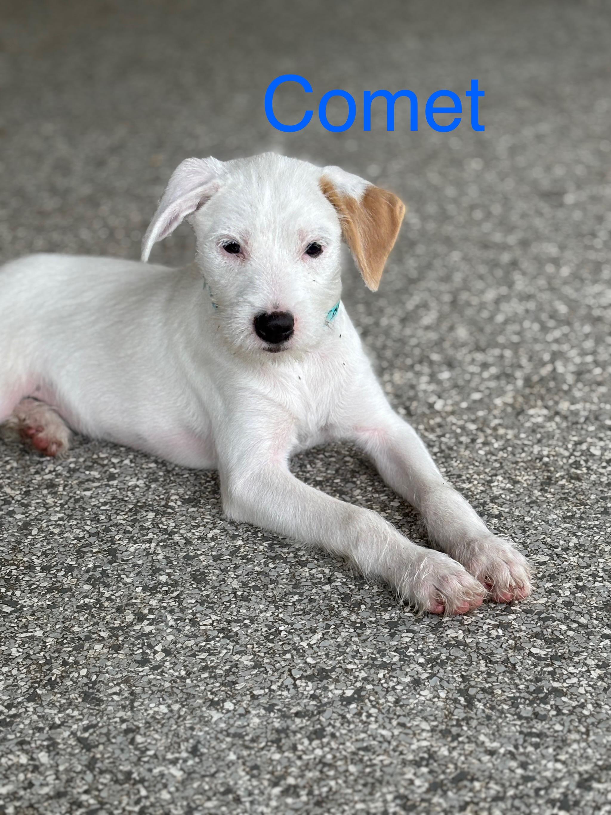 Comet photo 3