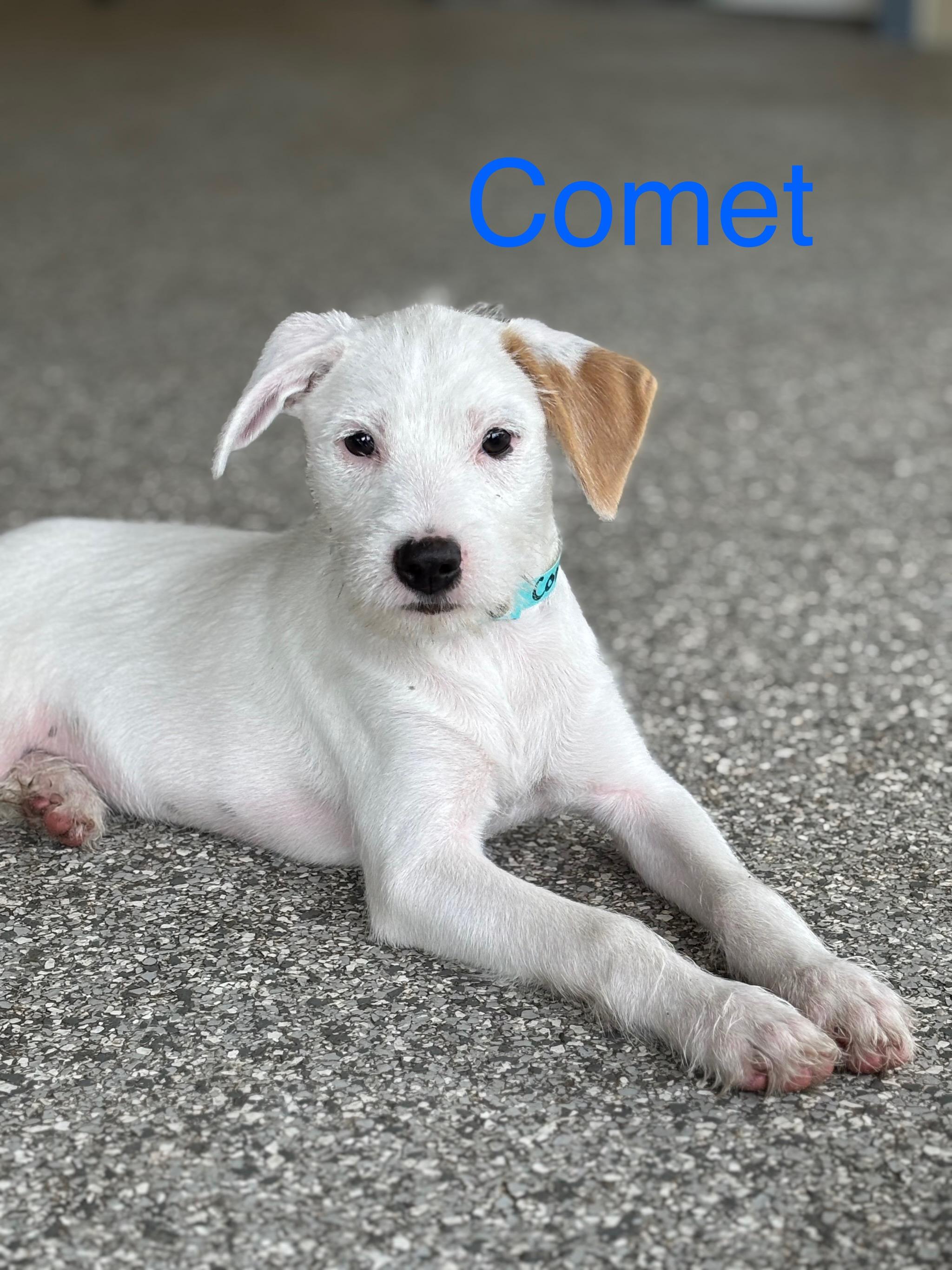 Comet