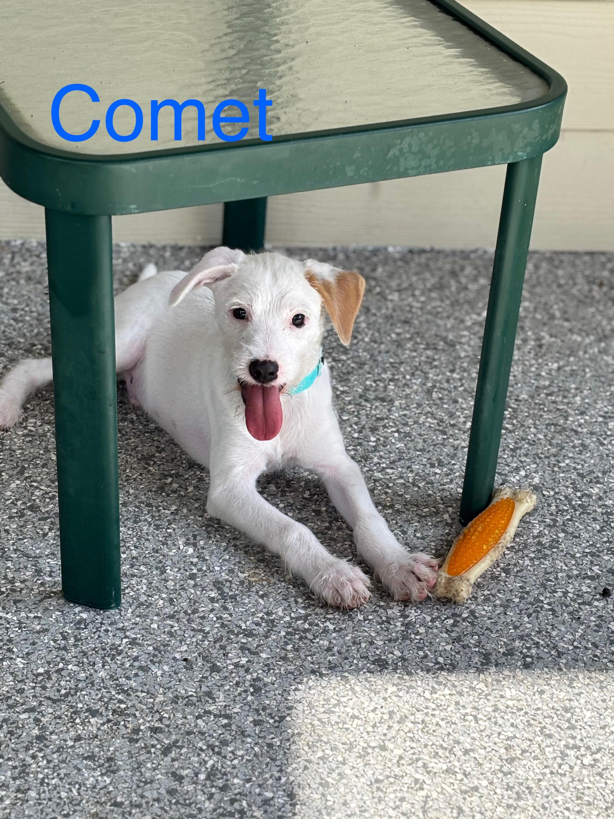 Comet photo 5