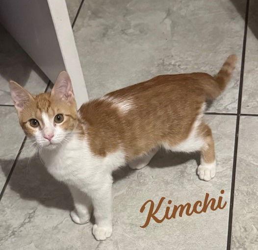 Kimchi #bonded-to-Minu
